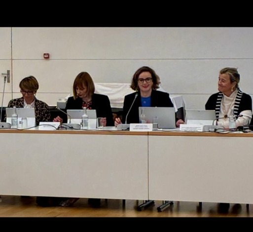 GIZARDATZ participa en el Pleno de la Mesa de Diálogo Civil de Bizkaia con la Diputada General, Elixabete Etxanobe